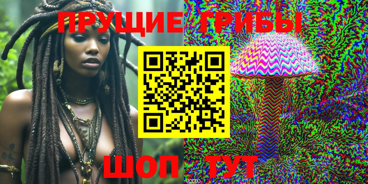 Псилоцибиновые грибы Psilocybe Тайшет