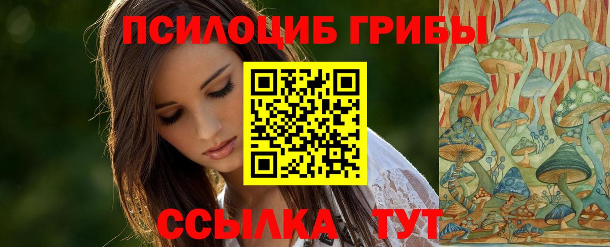 Тайшет  Псилоцибиновые грибы Psilocybine cubensis  Вход с VPN 